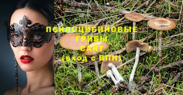 твердый Покровск