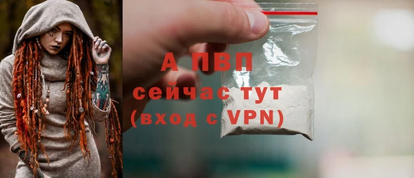 ECSTASY Покачи