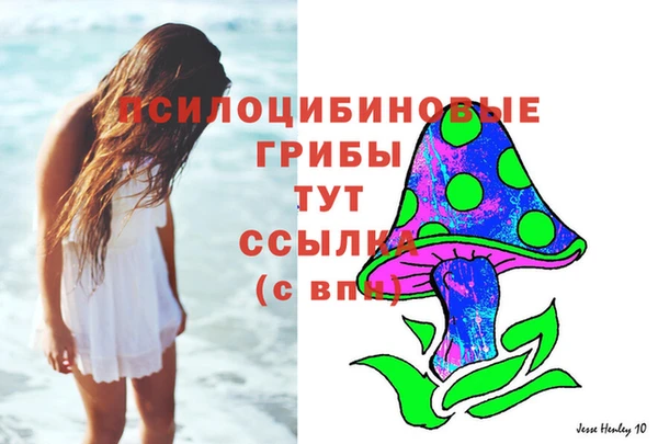 ECSTASY Покачи