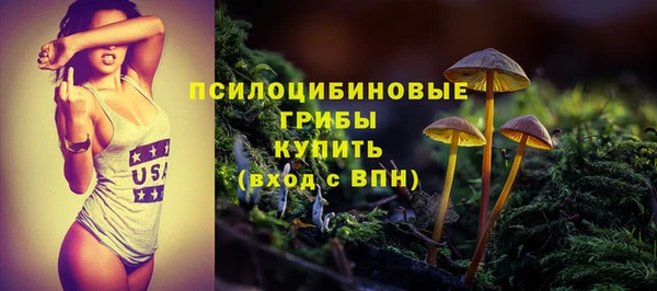 ECSTASY Покачи