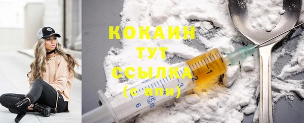 ECSTASY Покачи