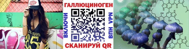 Псилоцибиновые грибы Psilocybine cubensis  Скопин 