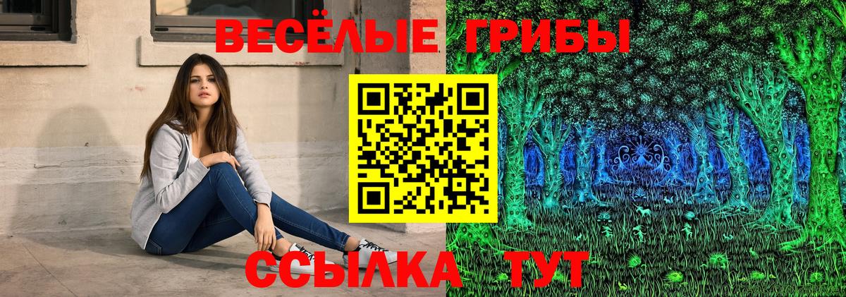 Скопин  Псилоцибиновые грибы Cubensis  Вход с VPN 