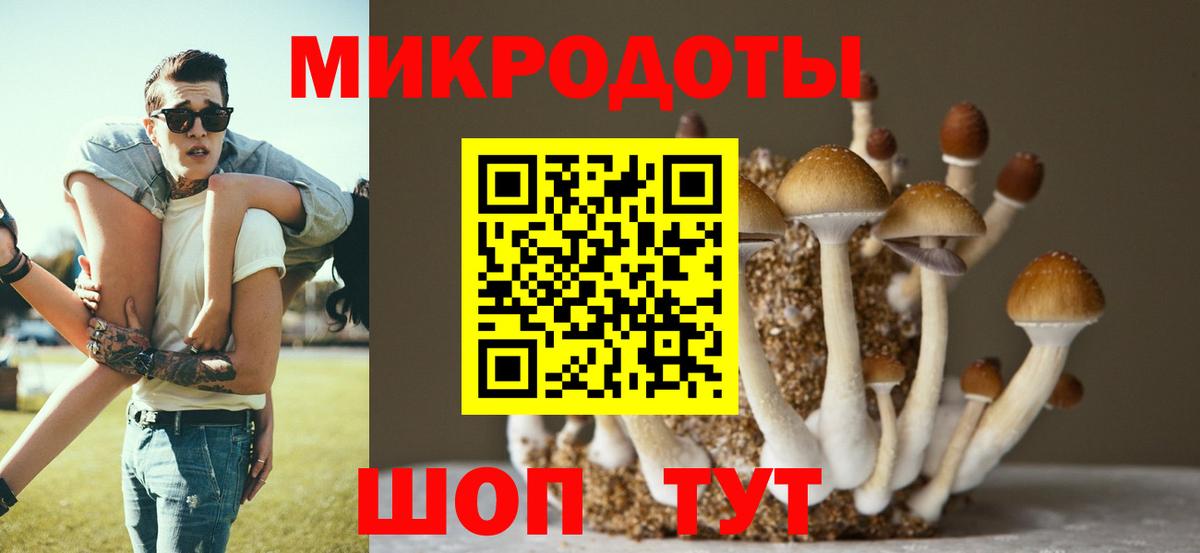 Галлюциногенные грибы прущие грибы Скопин