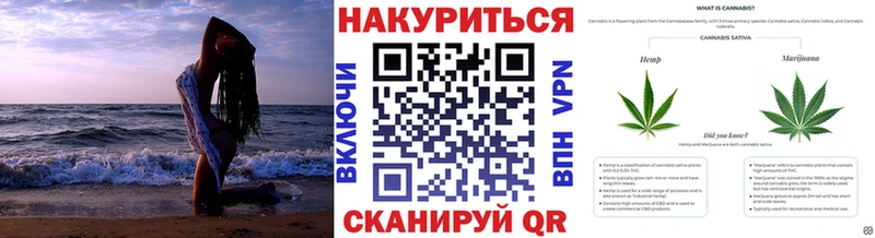 купить  сайты  Скопин  Каннабис SATIVA & INDICA 